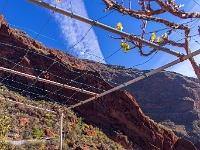 Barranco de Guayadeque